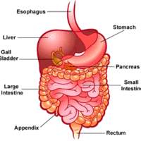 disease diary