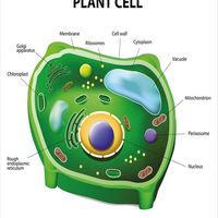 Plant Cell Book