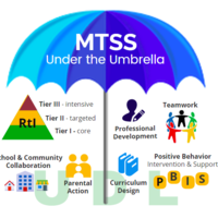 Mutli Tiered Systems of Support