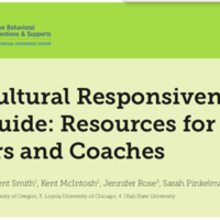 Cultural Responsiveness Field Guide