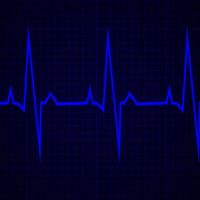 Daily Rhythm