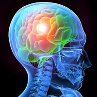 Traumatic Brain Injury Resource Portfolio