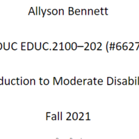 Intro to Moderate Disabilities Binder