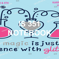 IS351 Notebook