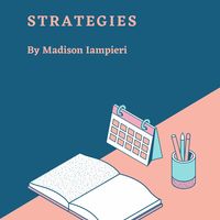Learning Strategies Binder