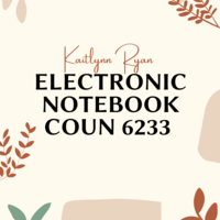 Electronic Notebook COUN 6233