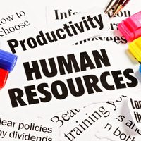 Human Resource Issues in NZ Businesses AS91383