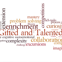 Gifted-TAGS 