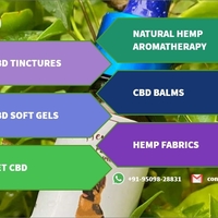 Buy Best CBD Oil in India | Cannabidiol Oil in India | Hemp