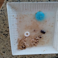 Weathering and Erosion