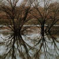 Wanganui Floods