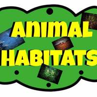 Exploring Animal Habitats