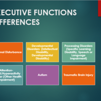 Specific Learning Disability: Resource Portfolio