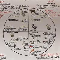 Teaching Aboriginal English Language Learners