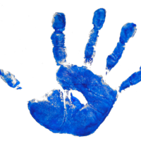 Copy of Child Abuse Program