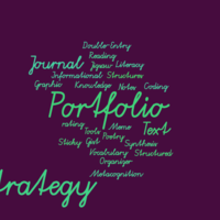 Strategy Portfolio