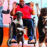 Utilization of Canine-Assisted Intervention in Physical Therapy 