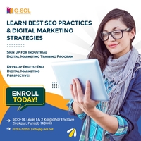 Digital marketing industrial training in Zirakpur