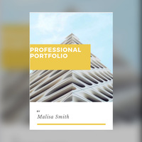 Professional Portfolio