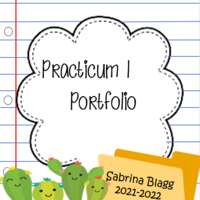 Practicum I Portfolio