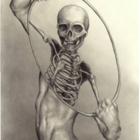 Human Anatomy and Physiology