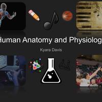 Human Anatomy and Physiology