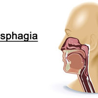 Dysphagia Treatment Binder