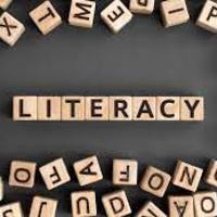 Literacy Strategy Binder