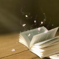 Strategy Notebook