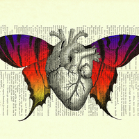 Advanced Anatomy & Physiology