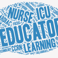 Nurse Educator Electronic Portfolio