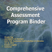 Ws 2 - Comprehensive Assessment Program Binder