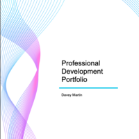 Professional E-Portfolio