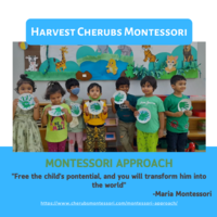 Best Montessori School in Bangalore- Cherubs Montessori