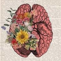 Arts/Wellness Resource Notebook