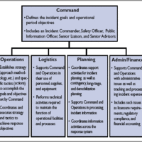 Cadetship Insights and Contemplation