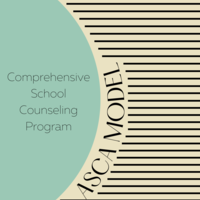 Comprehensive School Counseling