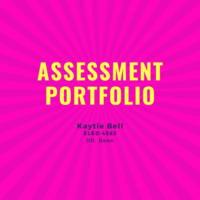 Assessment Portfolio