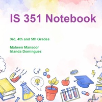 IS 351 Notebook