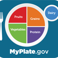 Nutrition E Portfolio