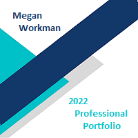 Professional Portfolio