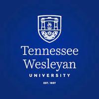 Electronic Observation Journal - Tennessee Wesleyan University