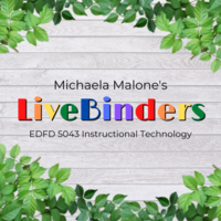 EDFD 5043 Instructional Technology