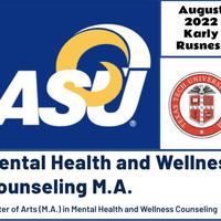Mental Health and Wellness Counseling Portfolio