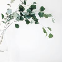 Nursing Portfolio