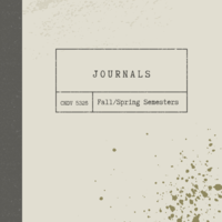 CNDV 5326 Journals