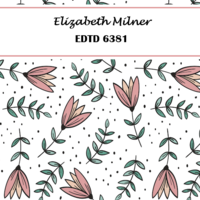Assessment and Differentiation EDTD6381