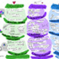 CITL UDL