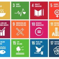 Teaching Through a Sustainable Development Goals Lens