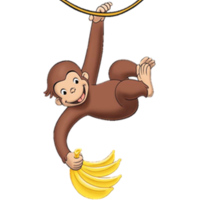 Curious About Economics (Curious George books)